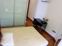 Alexis (D3), Apartment #520644731